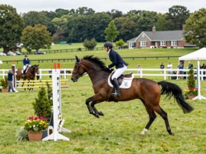 Aiken Horse Park equestrian event at Bruce's Field