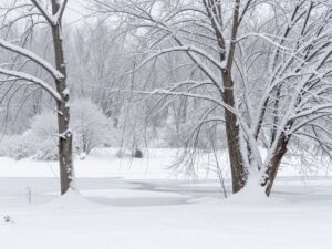 Heavy snow covering a winter landscape with icy conditions.