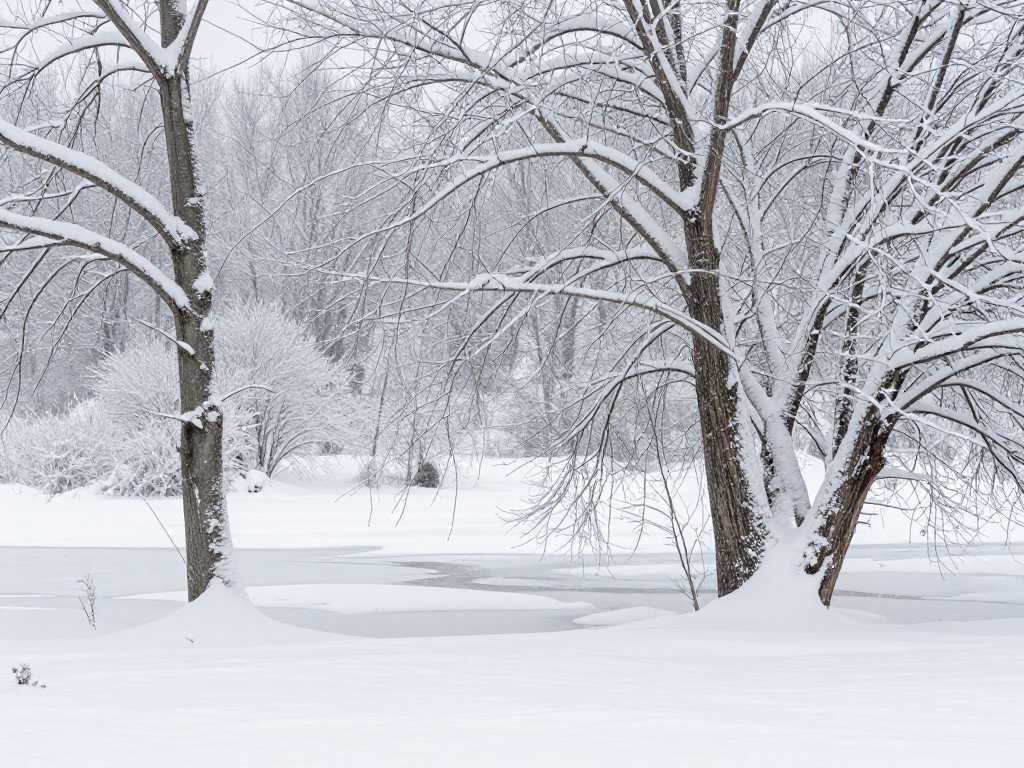 Heavy snow covering a winter landscape with icy conditions.