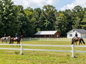 Thoroughbreds at an equestrian training facility in Aiken, SC