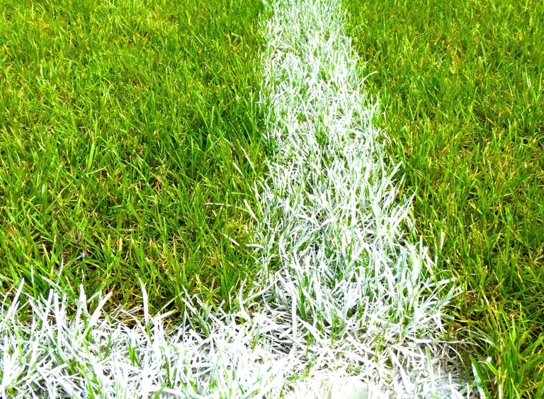 Close view of football field yard lines